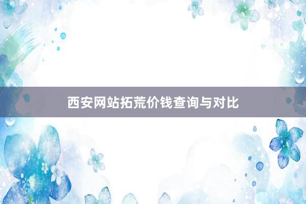 西安网站拓荒价钱查询与对比