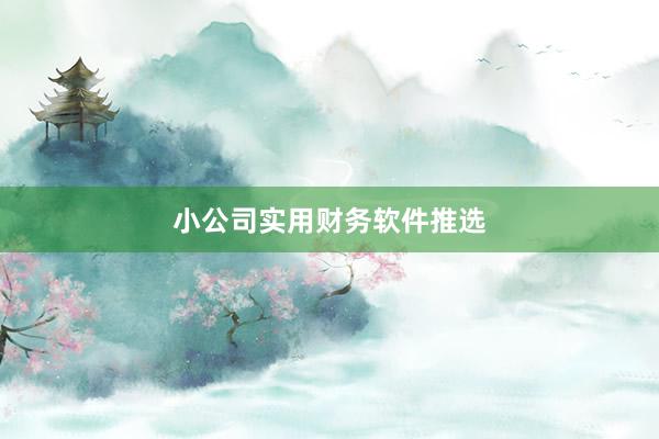 小公司实用财务软件推选